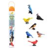 Backyard birds TOOB / Realistic miniature bird figurines Montessori learning toy - Safari Ltd