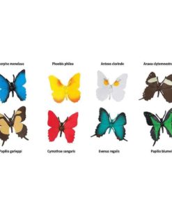 Papillons TOOB / Figurines réalistes de papillons miniatures jouet d'apprentissage Montessori - Safari Ltd