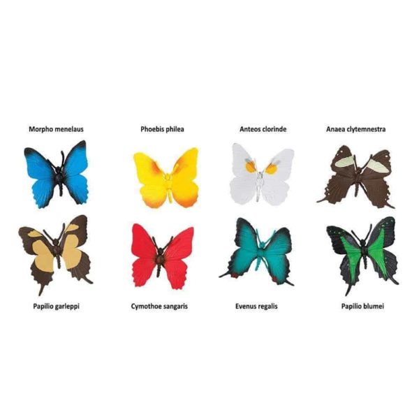 Papillons TOOB / Figurines réalistes de papillons miniatures jouet d'apprentissage Montessori - Safari Ltd