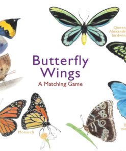 Butterfly Wings- A Matching Game