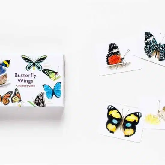 Butterfly Wings- A Matching Game