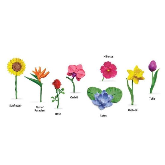 Flowers TOOB : Realistic miniature flowers figurines Montessori learning toy - Safari Ltd