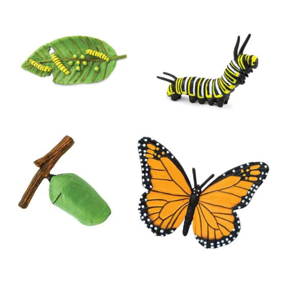 Life cycle of a Monarch butterfly figurines set - Safari Ltd