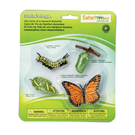 Life cycle of a Monarch butterfly figurines set - Safari Ltd