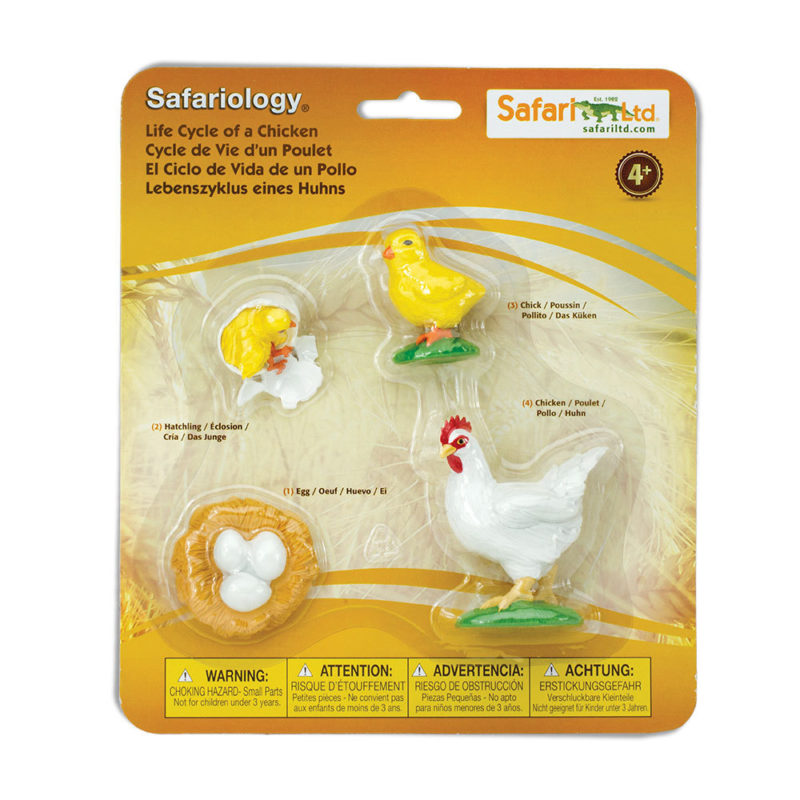 Life cycle figurines of a ladybug - Safari Ltd - Teia Education & Play