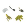 Life cycle of a frog figurines set - Safari Ltd learning toy