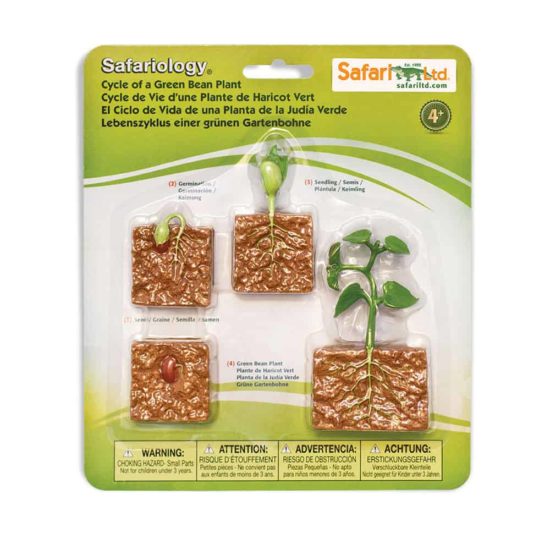 Life cycle of a green bean plant figurines set - Safari Ltd learning toy