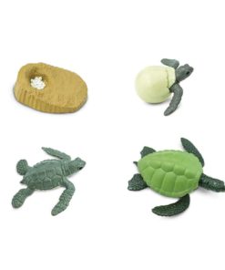 Life cycle of a green sea turtle figurines set - Safari Ltd learning toy