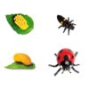 Life cycle of a ladybug figurines set - Safari Ltd learning toy