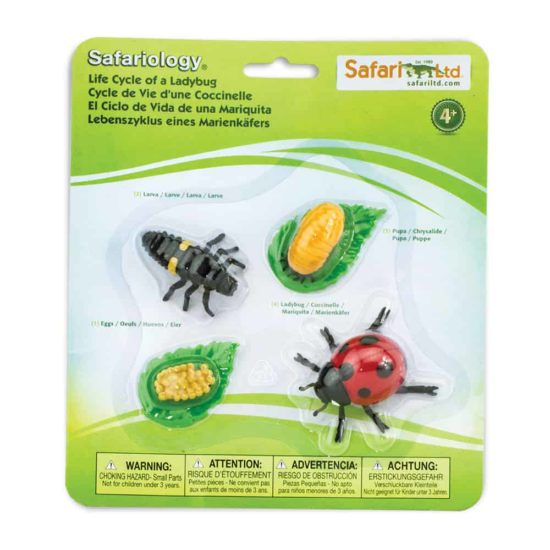 Life cycle of a ladybug figurines set - Safari Ltd learning toy
