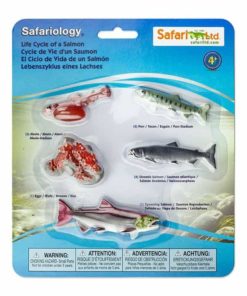 Life cycle of a salmon figurines set Safari Ltd learning toy
