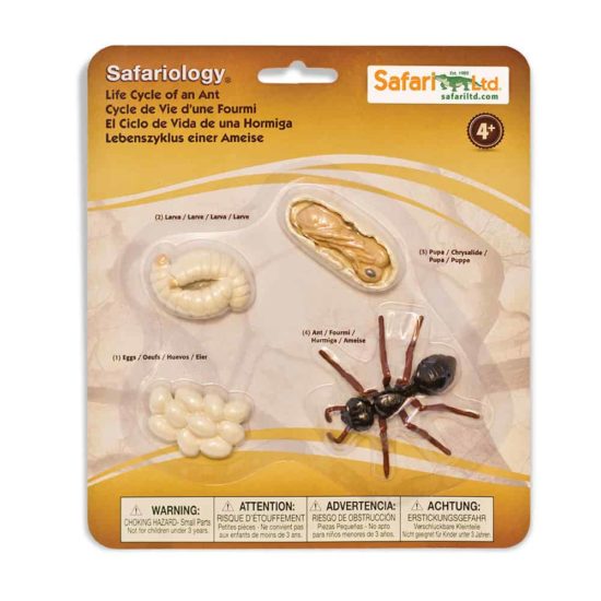 Life cycle of an ant figurines set - Safari Ltd learning toy