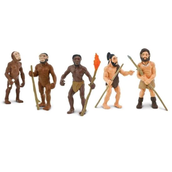 Histoire de l'évolution jouet d'apprentissage Ensemble de figurines de l'évolution de l'homme - Safari Ltd