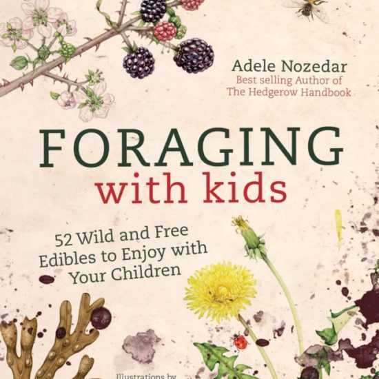 guide recherche nourriture famille Book foraging with kids by Adele Nozedar
