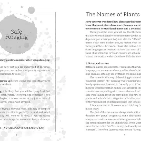 Book foraging with kids by Adele Nozedar
