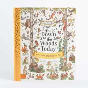 Poetry book If you go down to the woods today - Rachel Piercey