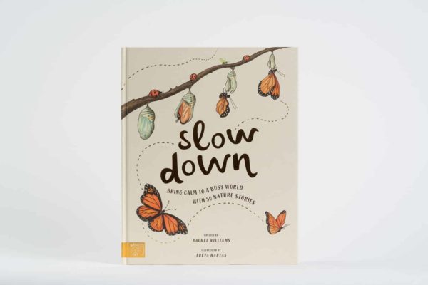 Book slow down by Rachel Williams