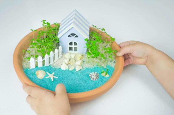 Create your mini beach garden plastic-free DIY craft kit - Lily & Mel