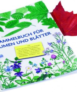 Scrapbook for flowers and leaves - Glückskäfer