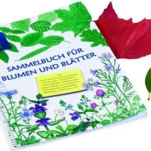 L'album de fleurs et de feuilles pressées Glückskäfer