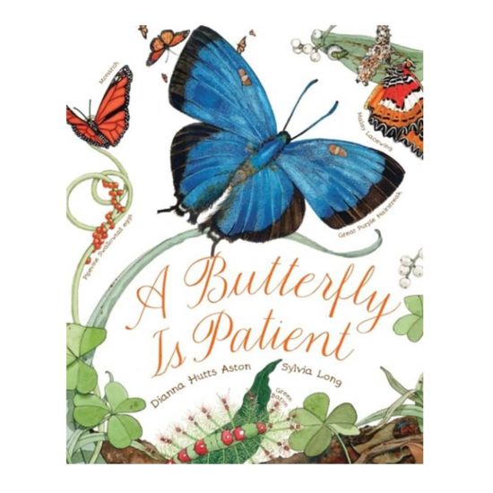 Book a butterfly is patient by Diana Hutts Aston and Sylvia Long