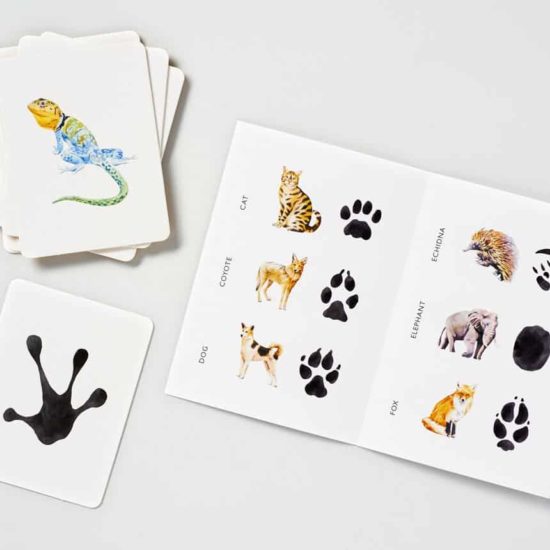 Match a track: a matching game of animals and their paw prints
