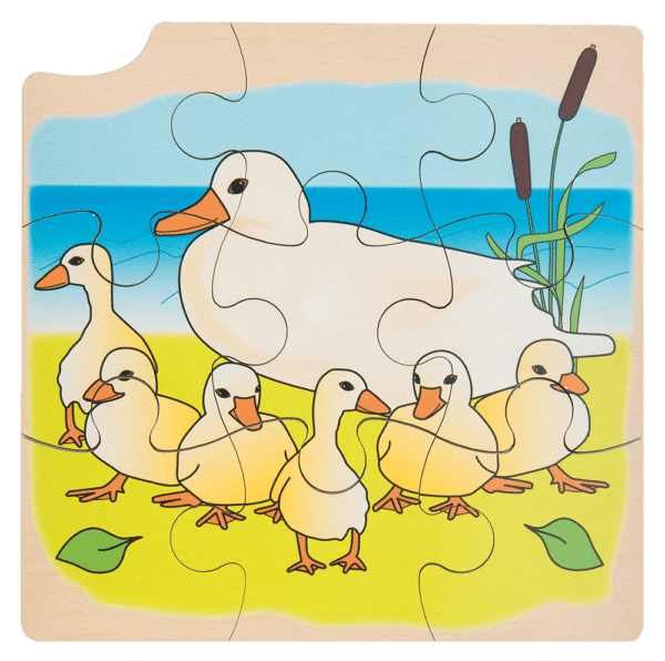 Layer puzzle growth of a duck Rolf