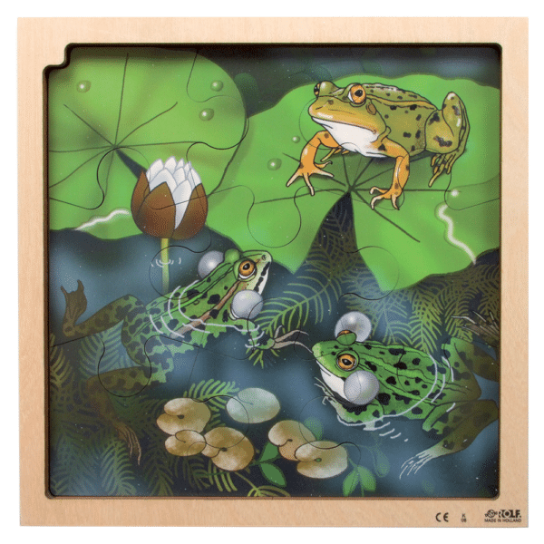 Layer puzzle life cycle frog Rolf