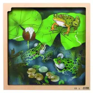 Layer puzzle life cycle: frog - Rolf