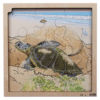 Layer puzzle life cycle turtle Rolf