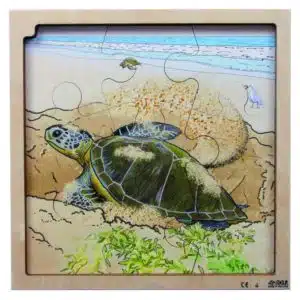 Layer puzzle life cycle turtle - Rolf