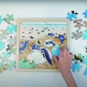 Layer puzzle life cycle turtle - Rolf