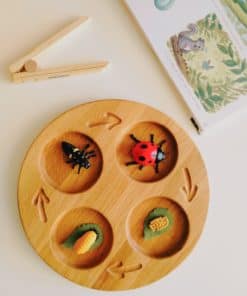 Wooden handmade life cycle tray / Montessori inspired learning toy – Threewood