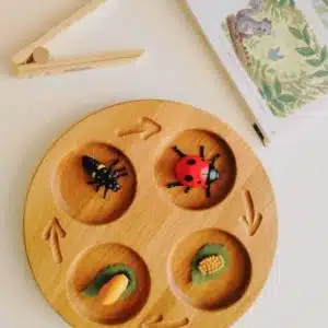 Wooden handmade life cycle tray / Montessori inspired learning toy – Threewood