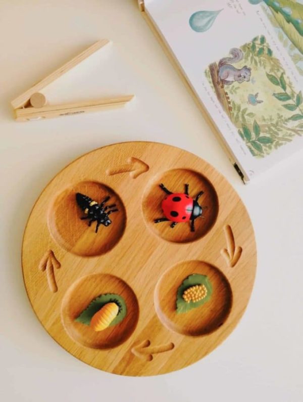 Handgefertigtes hölzernes Tablett für den Lebenszyklus / Montessori inspiriertes Lernspielzeug – Threewood