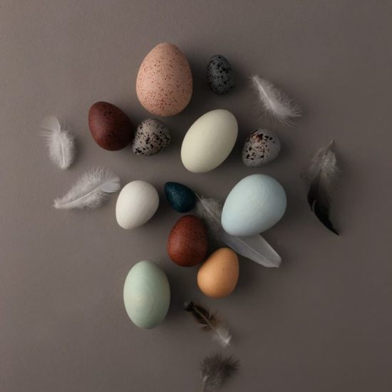 12 d'œufs d'oiseaux en bois dans un panier - Moon Picnic & Erzi