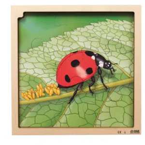 Layer puzzle growth ladybug - Rolf