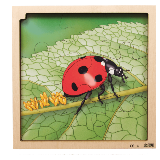 wooden life cycle layer puzzle growth ladybug - Rolf
