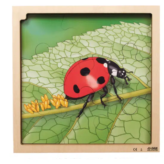 Layer puzzle growth ladybug - Rolf