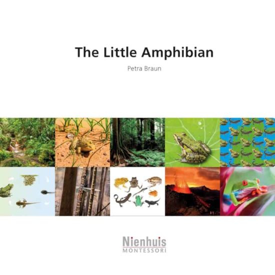 Booklet: the little Amphibian - Nienhuis Montessori