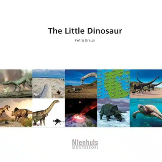 Livret le petit dinosaure - Nienhuis Montessori