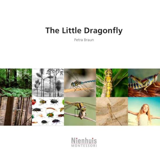 Booklet: the little Dragonfly - Nienhuis Montessori
