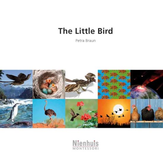 Booklet: the little bird - Nienhuis Montessori