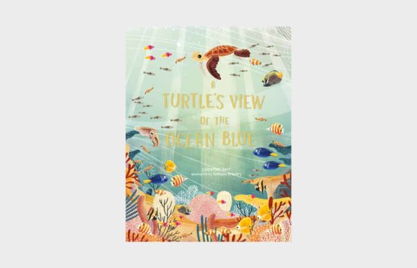 Book a turtle's view of the ocean blue - Catherine Barr