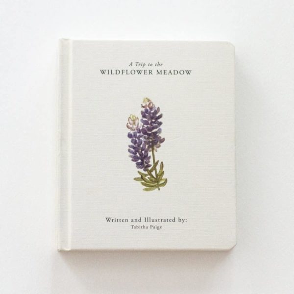 Books our little adventures by Tabitha Paige - a trip to the wildflower meadow