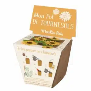 Sunflower growing kit - Moulin Roty