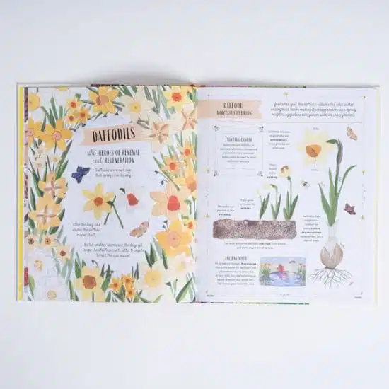 Grow Rizanino Reyes gardening book children's guide to plants