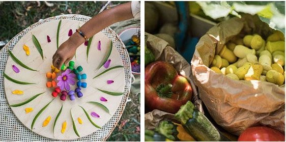 New Grapat Mandala sets Rainbow Mushrooms and Tulips WILD Collection 2022