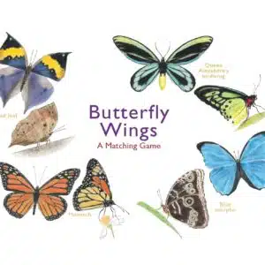 Butterfly Wings A Matching Game