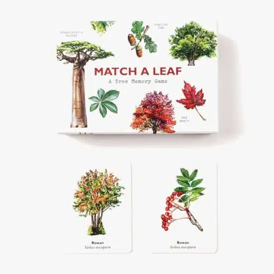 Match a leaf a tree memory game holly exley